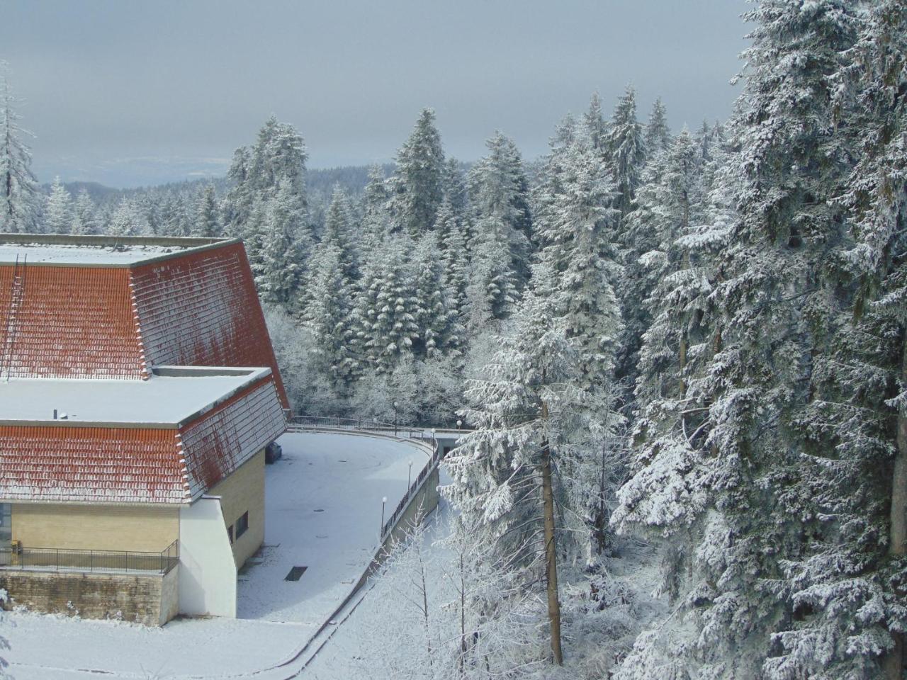 Ski Apartment Boyika Iglika 2 Borovets Exteriör bild