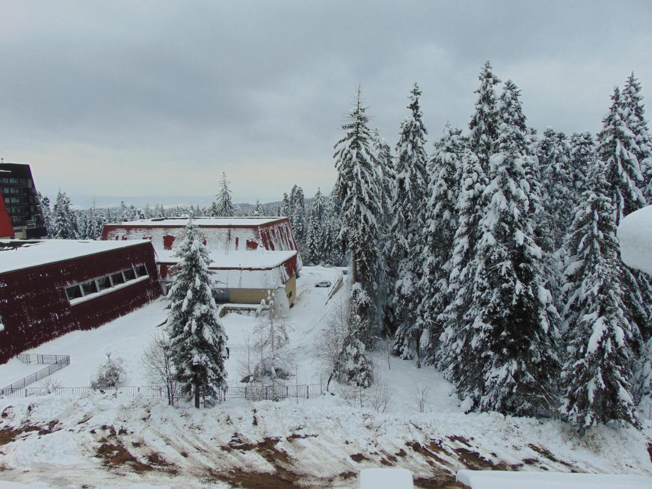Ski Apartment Boyika Iglika 2 Borovets Exteriör bild